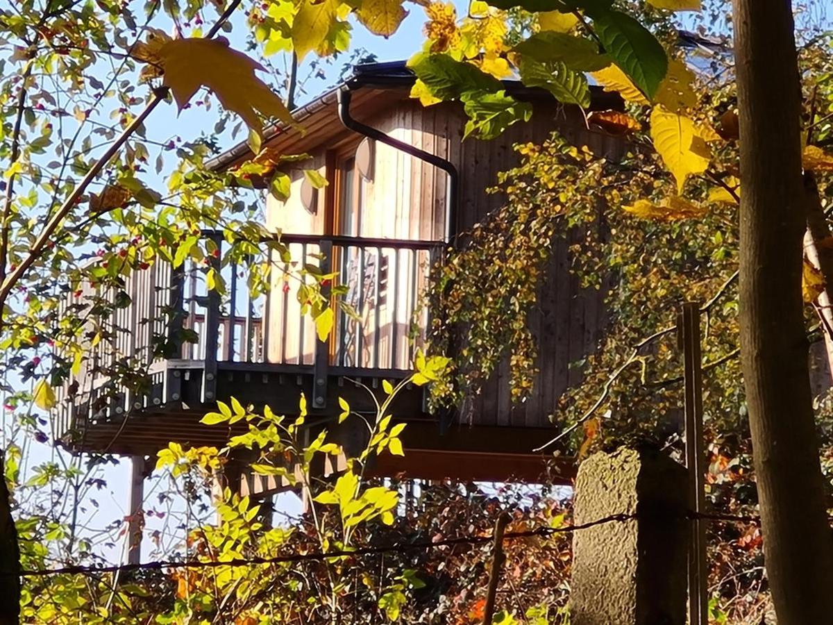 Hotel Waldquelle - Baumhaushotel Aerzen Esterno foto